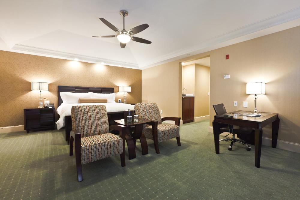 Deluxe King Suite interior